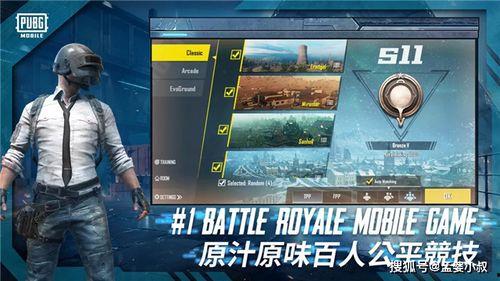 吃鸡新皮肤爆料最新版,揭秘最新爆料版神秘面纱  第1张