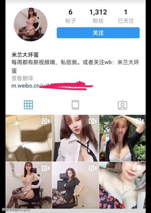 信宜小艺爆料案件最新,揭秘背后惊人真相  第2张